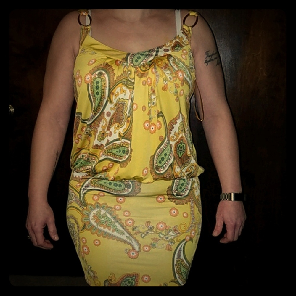 Arden B. Silky dress